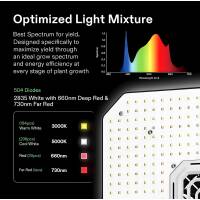 Vivosun Grow Komplett-Set: Die ultimative Lösung für Smart Growing im Indoor-Bereich